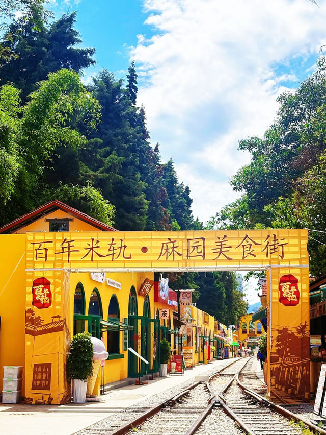 🌤️Sunny Day in Kunming – Vintage Charm Meets Hipster Vibes!