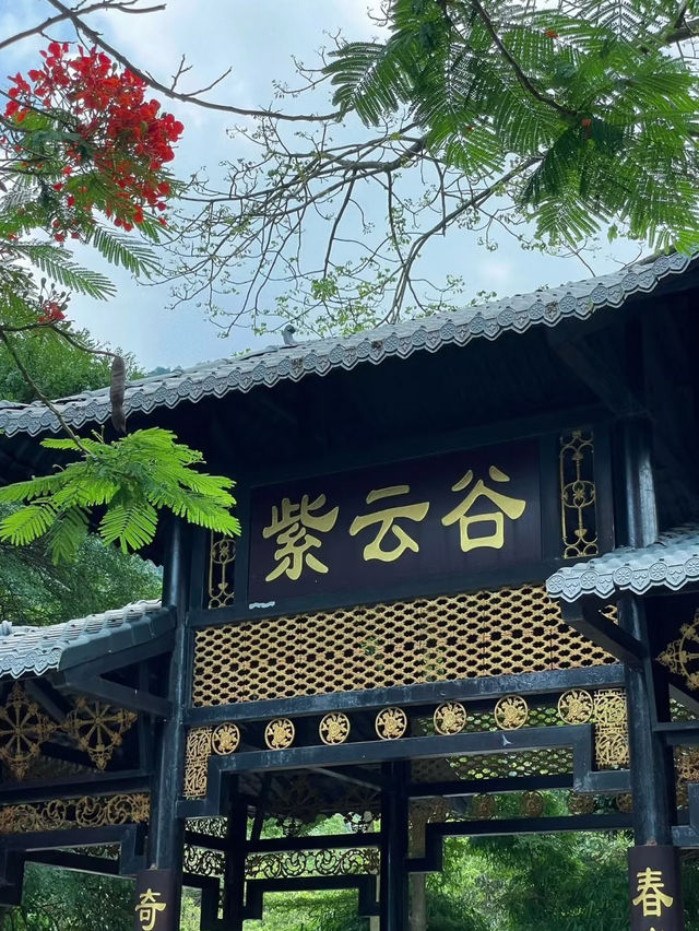 Discover Ziyun Valley in Zhaoqing — Ancient Quarry Meets Scenic Beauty ⛰️🌸