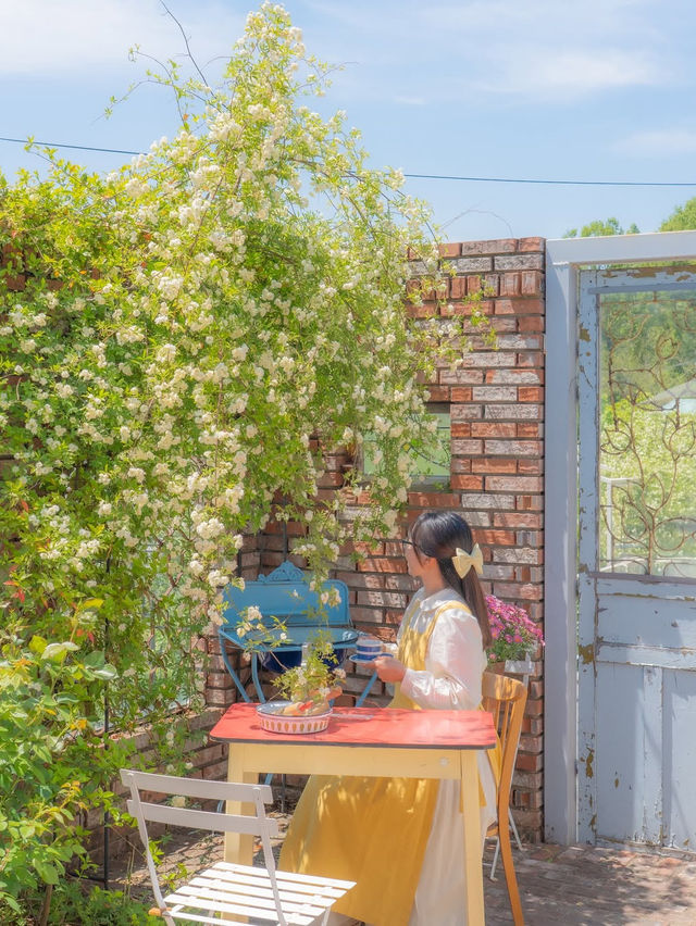 행복한 사장님이 가꾸시는 장미 정원 카페🌼💛
