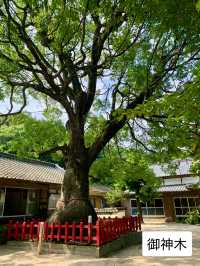 【おんせん県おおいた】潮風を感じて参拝【八幡奈多宮】こんなロケーション珍しいのでは？