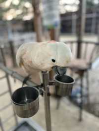 Batam Zoo -kids paradise
