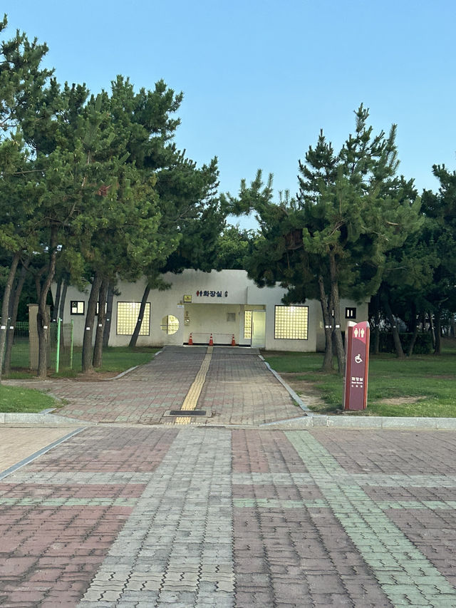 일몰빛에 물든 포항, 호미곶 해맞이광장 뷰 추천🤍💙