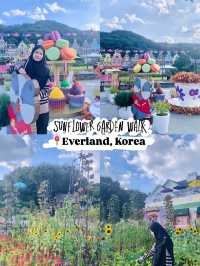Sunflower Garden Walk: Everland, Korea