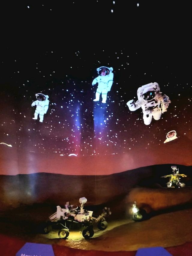 The Mind Museum – Where Science Comes Alive