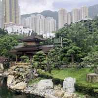 Chi Lin Nunnery & Nan Lian Garden (Diamond Hill)