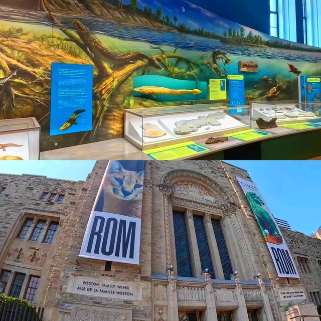 Royal Ontario Museum