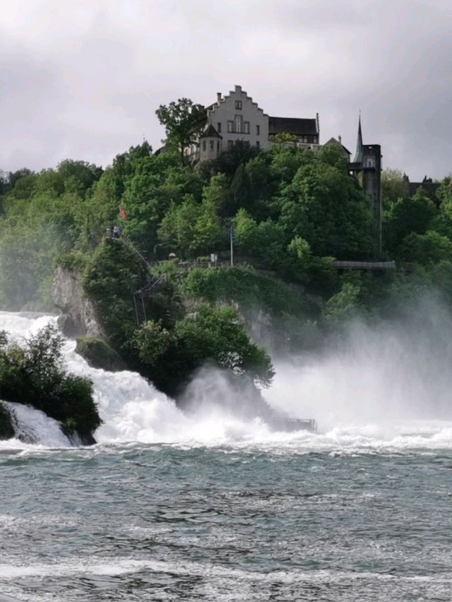 🌊Unleashed at Rhine Falls