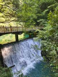 “Zhangjiajie Grand Canyon: Crystal Bridge over a Green Paradise”