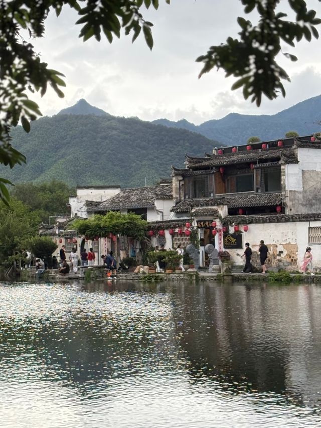 From Courtyards to Canals: Budget-Friendly Ways to Explore Hongcun From Courtyards to Canals: Budget-Friendly Ways to Explore Hongcun