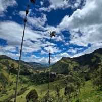 Valle de Cocora – “Where Palm Trees Touch the Clouds”