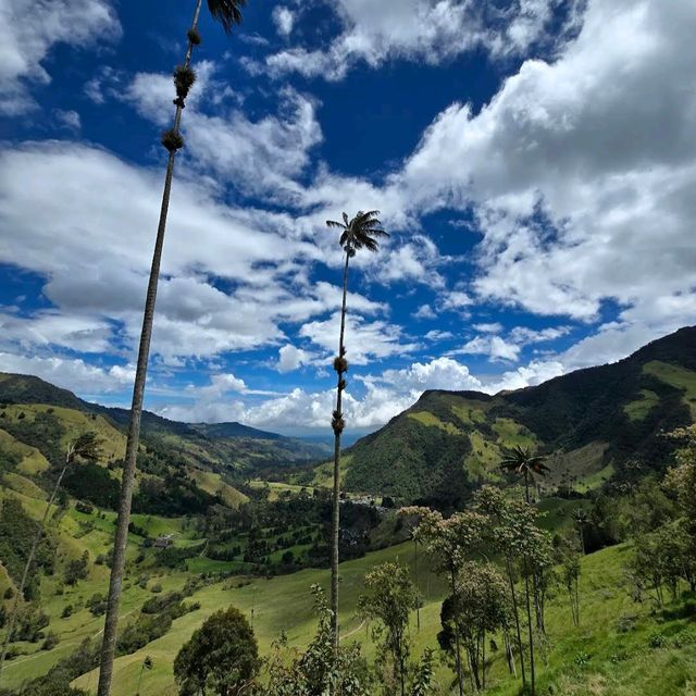 Valle de Cocora – “Where Palm Trees Touch the Clouds” Valle de Cocora – “Where Palm Trees Touch the Clouds”