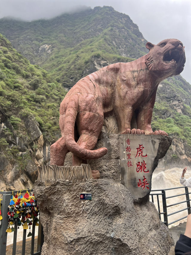 昆明☀️大理🌊丽江🌙｜云南旅行最美路线推荐