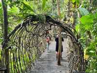 🌿 Yanoda — Hainan’s Tropical Rainforest Wonderland