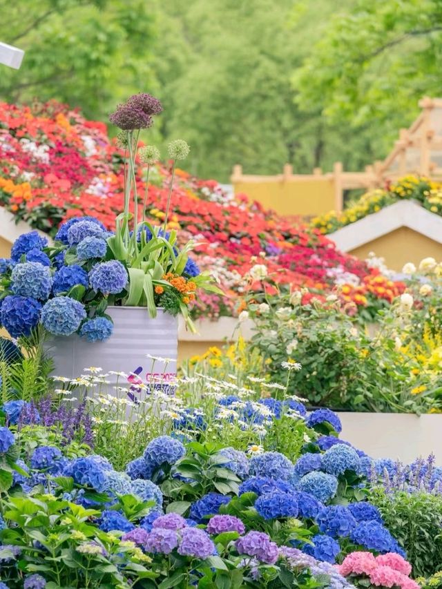 Zhongshan Park: Wuhan's Green Living Room