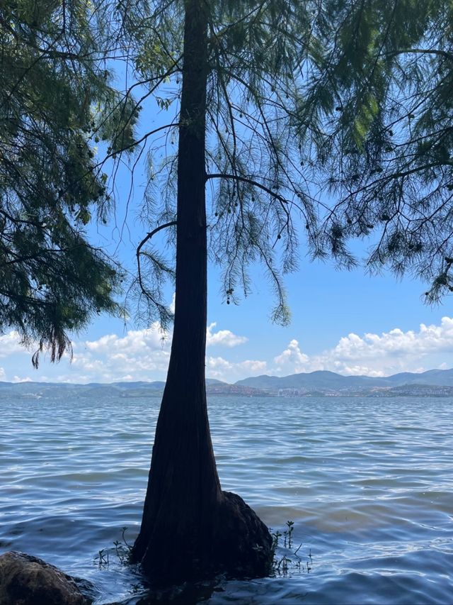 Erhai Unfiltered: A Scenic Journey Through Dali's Blue Heart