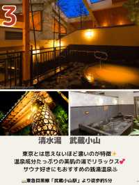 【東京】秘密にしたい日帰り温泉♨️6選📸