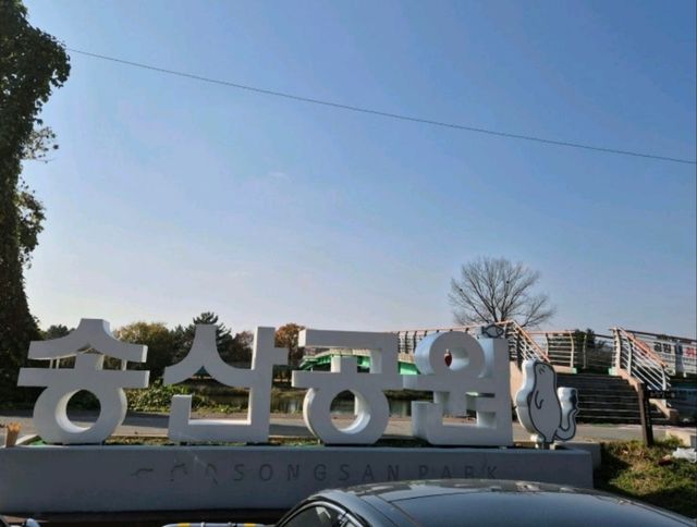 도심 속 여유, 송산근린공원 산책