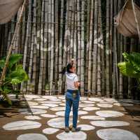 Cave Beach Club คาเฟ่ ชิลริมหาดพัทยา