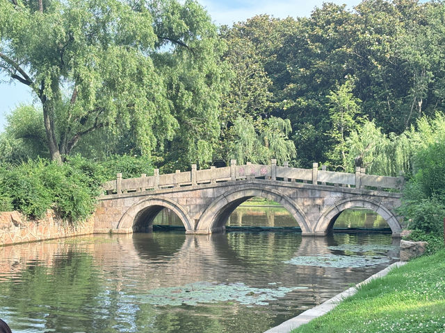 🌳【上海隱藏的“綠野仙蹤”!共青森林公園:城市中心的天然氧吧,隨手一拍就是森林大片!】🌳  🌳【上海隱藏的“綠野仙蹤”!共青森林公園:城市中心的天然氧吧,隨手一拍就是森林大片!】🌳