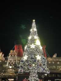 🎢 Tokyo DisneySea – Japan