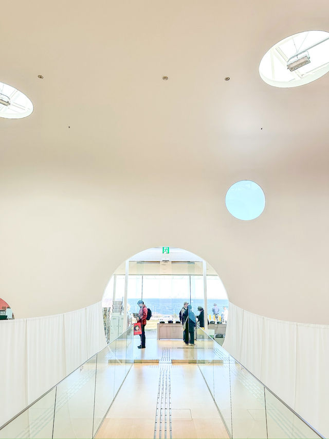 🏛 横須賀美術館（Yokosuka Museum of Art）