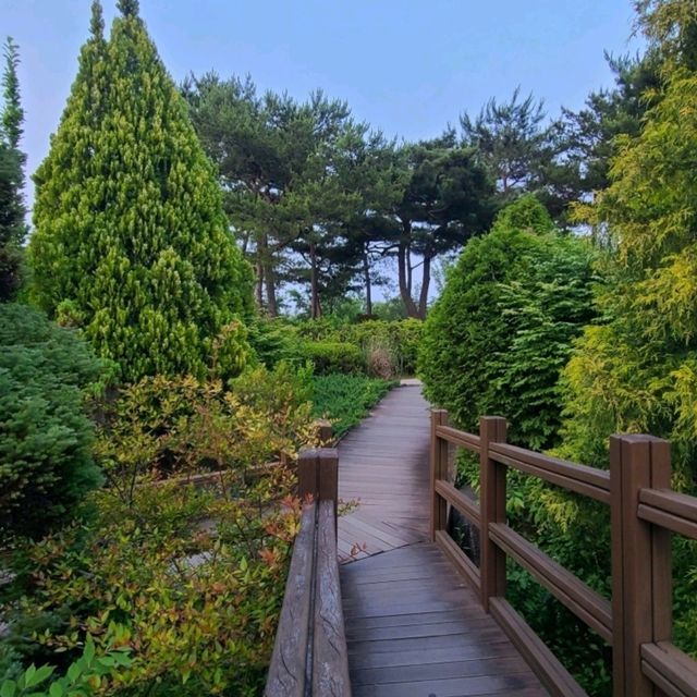 대전 도심 속 오아시스, 한밭수목원🌿