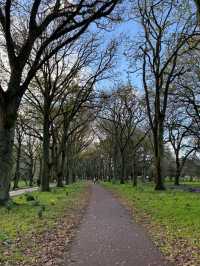 Cornwall Park & One Tree Hill: Auckland’s Green Heart