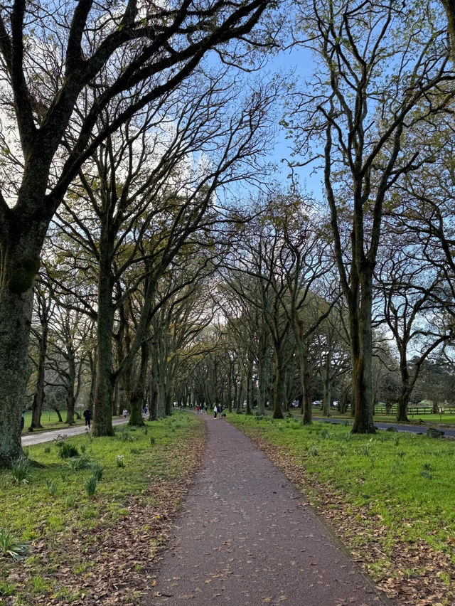 Cornwall Park & One Tree Hill: Auckland’s Green Heart