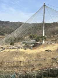 청주랜드 동물원 다녀온 후기