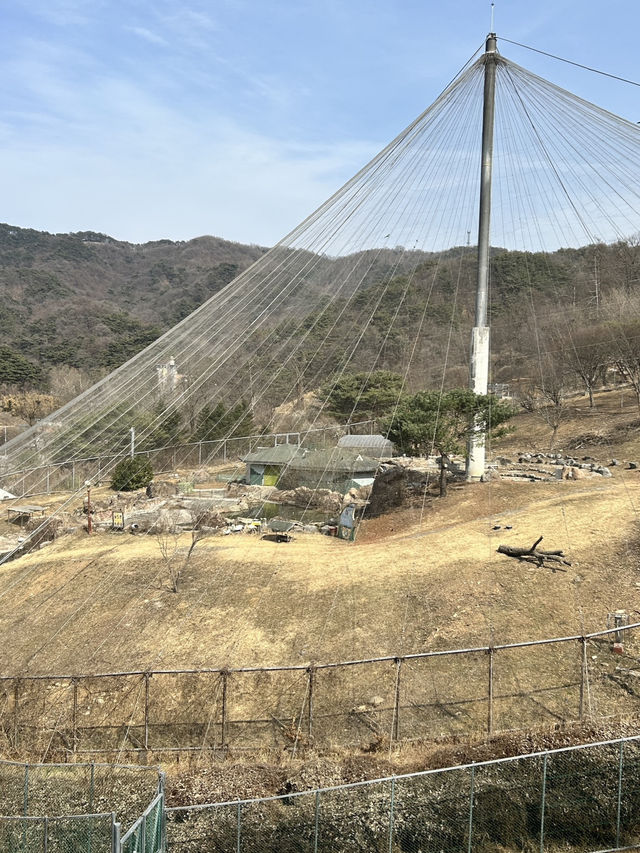 청주랜드 동물원 다녀온 후기