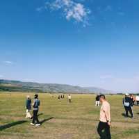 ทุ่งหญ้านาราถี (Nalati Grassland) 