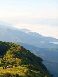🌳 : Kew Mae Pan nature trail กิ่วแม่ปาน เชียงใหม่
