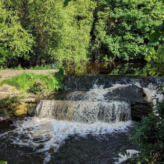達特里公園瀑布 – 都柏林多德河畔的溫柔瀑布