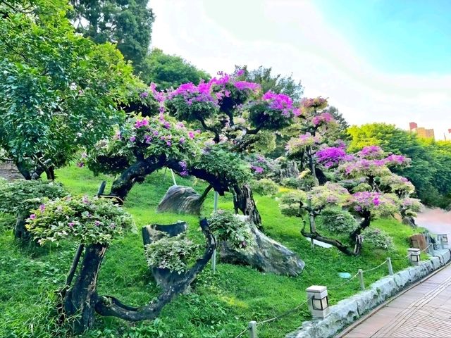 A Slice of Tranquility: Nan Lian Garden in Hong Kong A Slice of Tranquility: Nan Lian Garden in Hong Kong