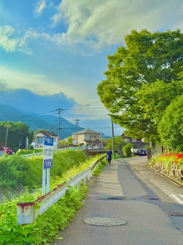 여름의 유후인, 초록빛 골목길 산책 🌿🌞