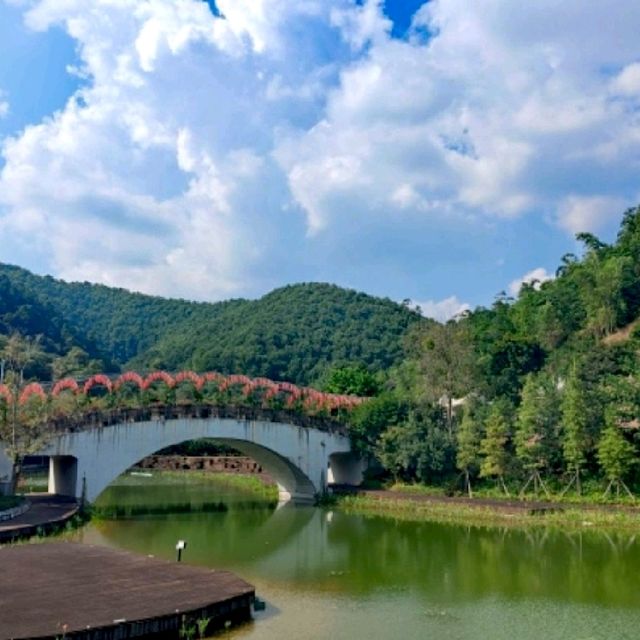 一日走進仙境森林秘谷🌳