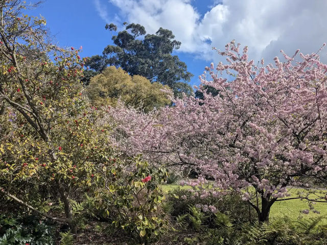Royal Botanic Gardens Victoria - Melbourne Gardens