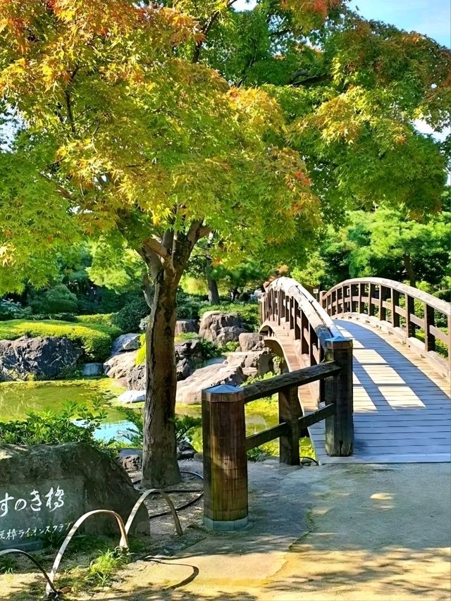 Peaceful Beauty at Shirotori Garden, Nagoya