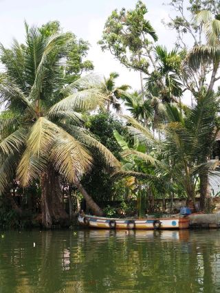 🌴ประสบการณ์สุดหรูหราบนน้ำ: เรือลอยน้ำในอัลเลปเปย์