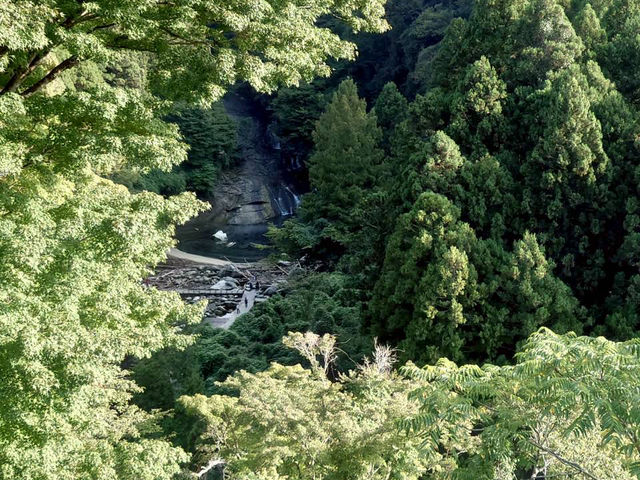 自然満喫ツアー