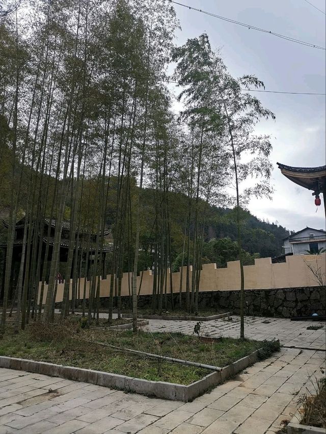 🏔️ จางเจียเจี้ย เมืองแห่งขุนเขาและสวรรค์บนดิน