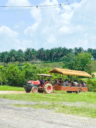 ทริปหนึ่งวันไปฟาร์ม Superfruits Senai