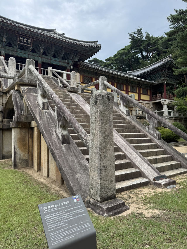 한국의 미를 느낀 하루 🇰🇷