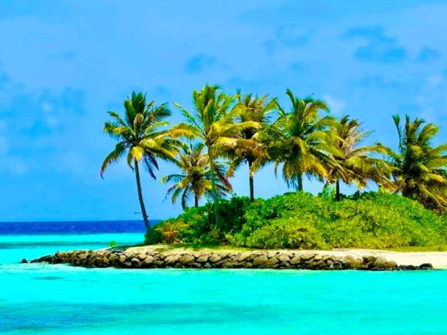 Le Méridien Maldives Resort & Spa — Where Creativity Meets Conservation Le Méridien Maldives Resort & Spa — Where Creativity Meets Conservation