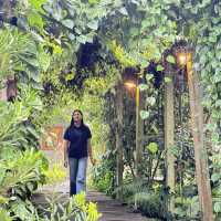 คาเฟ่ลับๆในสวน 