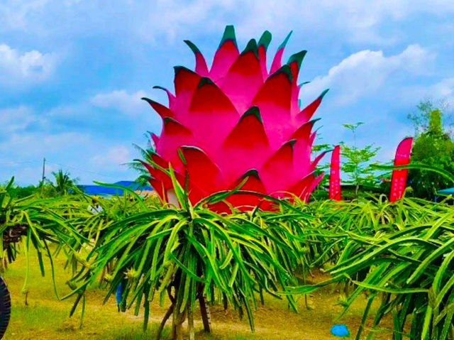 Sepang Itinerary | Dragon Fruit Farm & Beach Sunset Escape