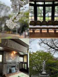🏞️ Heritage Stroll at Asukayama Park
