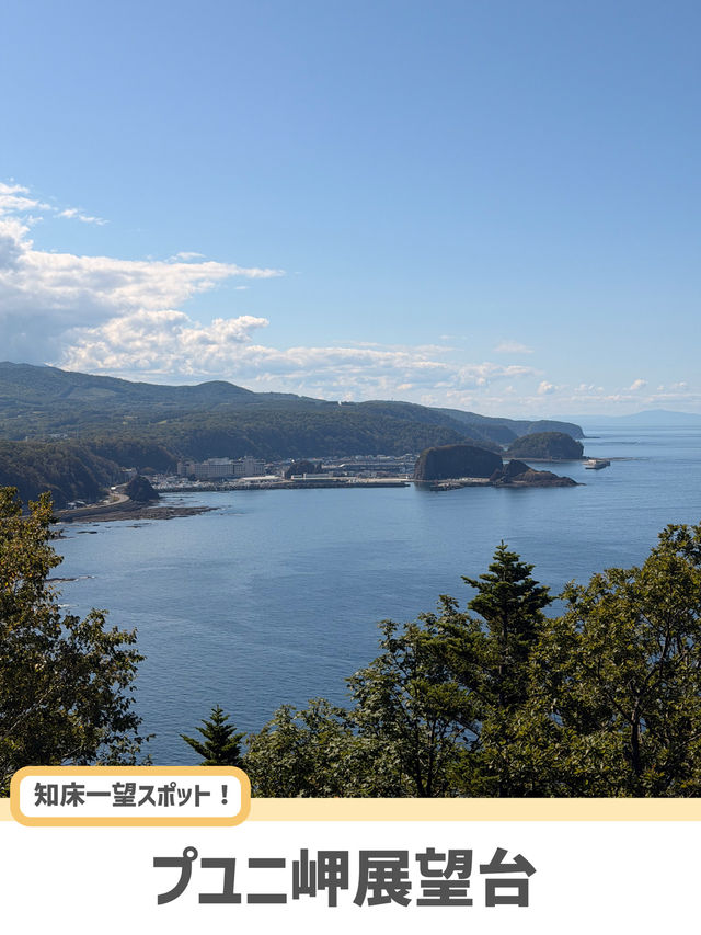 【北海道】世界自然遺産・知床で巡る絶景5選🌊🌲 【北海道】世界自然遺産・知床で巡る絶景5選🌊🌲