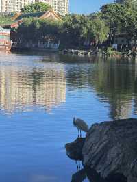 珠海圓明新園1:1