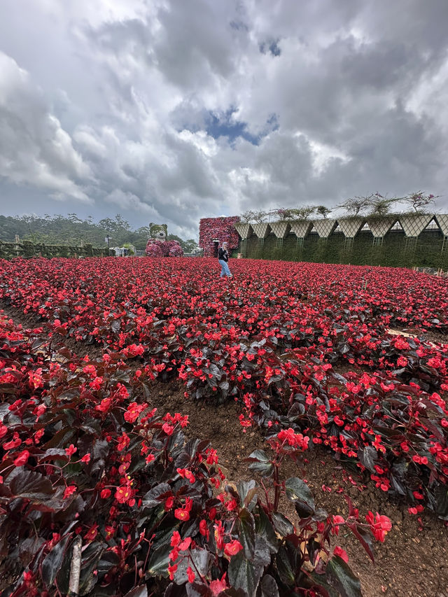 Fresh Garden Dalat 🌹🌺🌸